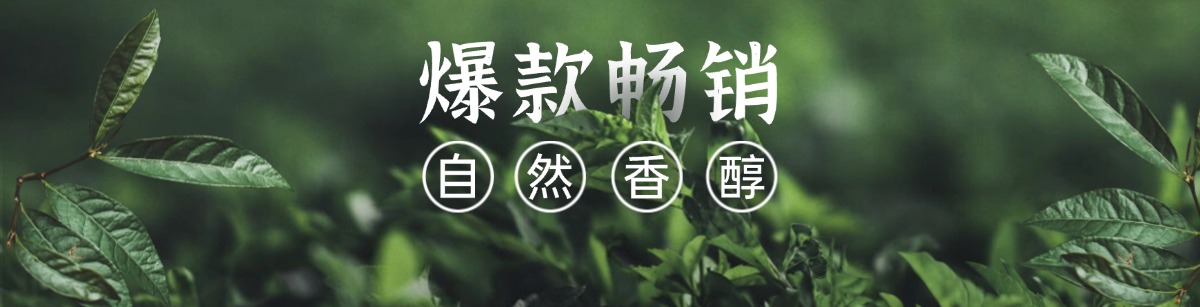 爆款畅销